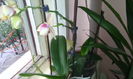 IMG_20151227_090026[1]