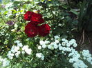 DSC02184