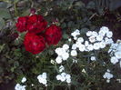 DSC02366