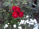 DSC02367