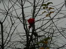 DSCN5904
