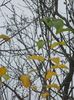 DSCN5906