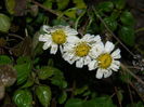 DSCN5928