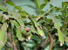 DSCN5936