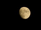 DSCN5953