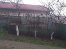 flori 484