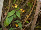 DSCN5983