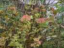 DSCN5986