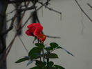 DSCN5998