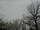 DSCN6020