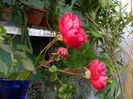 DSCN6032