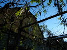 DSCN6034