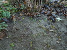 DSCN6048
