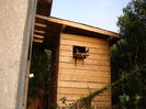 DSC04790