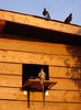 DSC04852