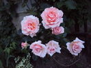 DSC09577
