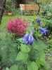 DSC01003