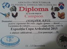 Cupa Ardealului - Ludus 2015