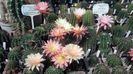 IMG_20150705_105952_132