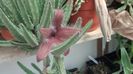 IMG_20150705_143743_997