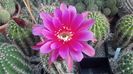 IMG_20150718_073259_537