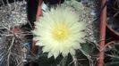 IMG_20150718_115027_922
