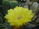 DSC09304