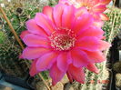 DSC09360