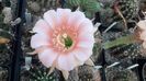 IMG_20150829_074452_375