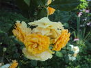 DSC04691