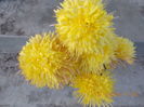 galben de matase