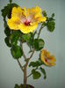 DSC04188