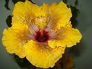 DSC04190