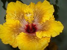 DSC04191