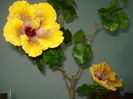 DSC04194