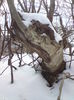 DSC01545