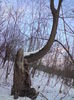 DSC01566