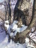 DSC01604
