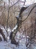 DSC01605