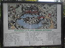 PA040788