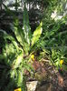 PA040856