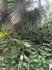 PA040894
