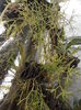 PA040986