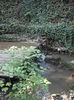 PA041048