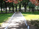 P6150306