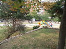 P9040010