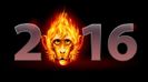 horoscop_chinezesc_2016_previziuni_detaliate_pentru_toate_zodiile_770x470_58089400