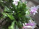 WIN_20160101_111951