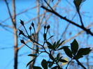 DSCN6069