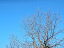 DSCN6072